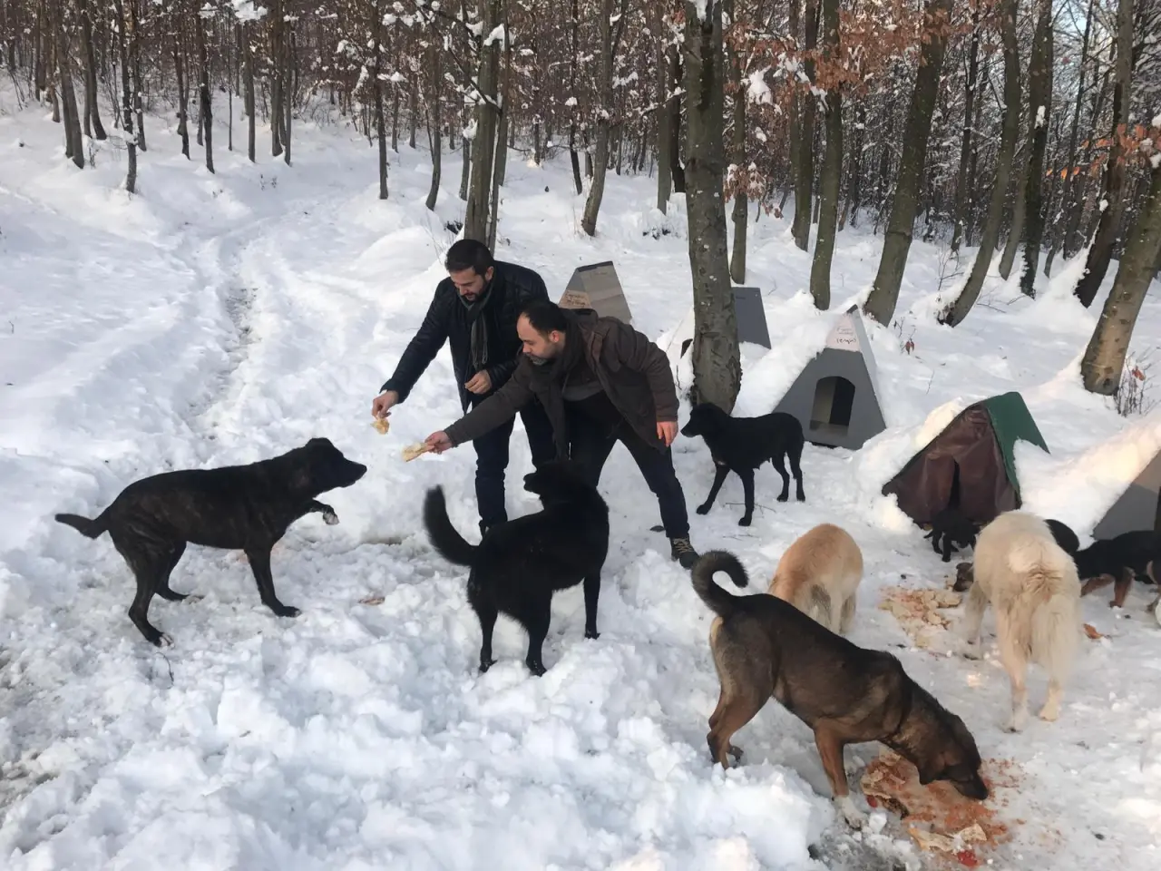 Haber: Hendekli Esnaflar Elleriyle beslediler - Galeri-1