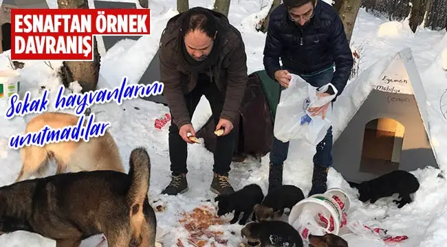 Haber: Hendekli Esnaflar Elleriyle beslediler - Öne Çıkan