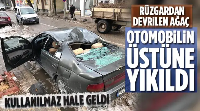 Şiddetli Rüzgâr Hendek’te Ağaç Devirdi