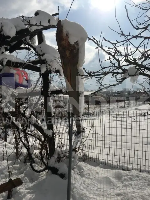Elektrik Akımına Kapılan  İki Hayvan Telef Oldu