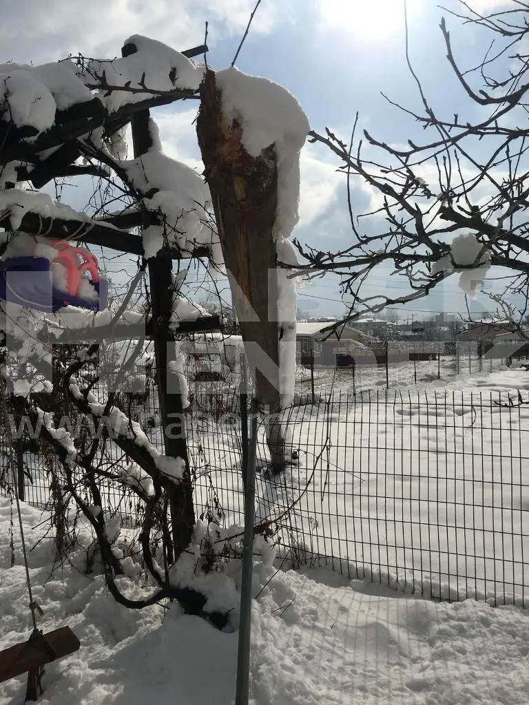Haber: Elektrik Akımına Kapılan  İki Hayvan Telef Oldu - Galeri-1