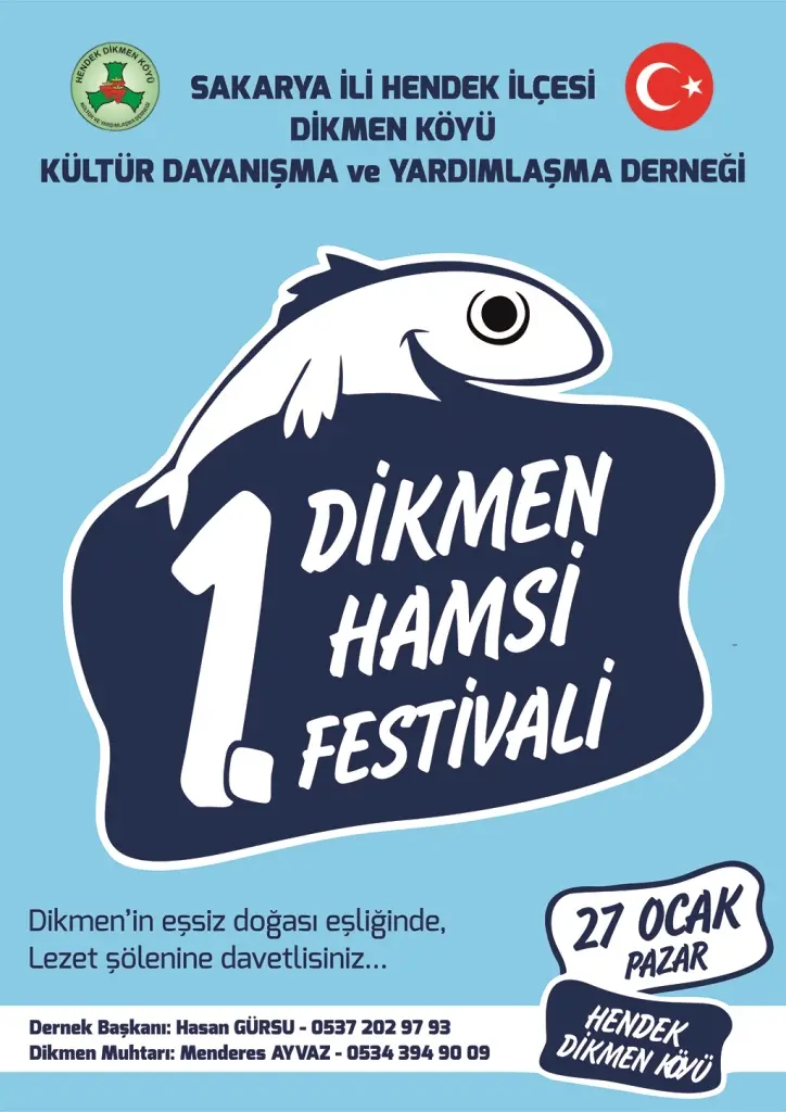 Haber: Hendek'in Zirvesinde Hamsi Festivali Düzenlenecek - Galeri-4