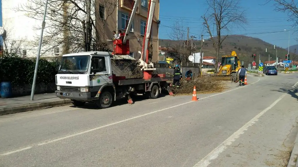 Haber: Cadde ve Bulvarlardaki Ağaçlar Budanıyor - Galeri-2