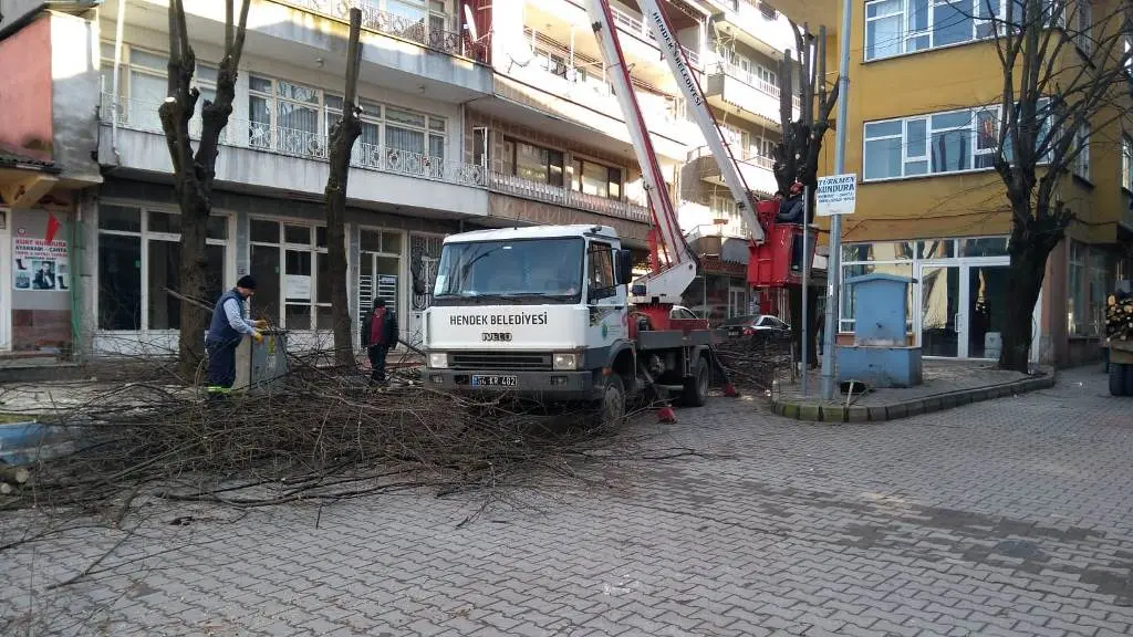 Haber: Cadde ve Bulvarlardaki Ağaçlar Budanıyor - Galeri-3