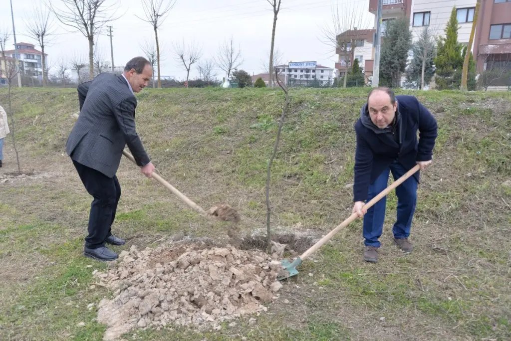 Haber: Belediye Meclisi Fidan Dikti - Galeri-3