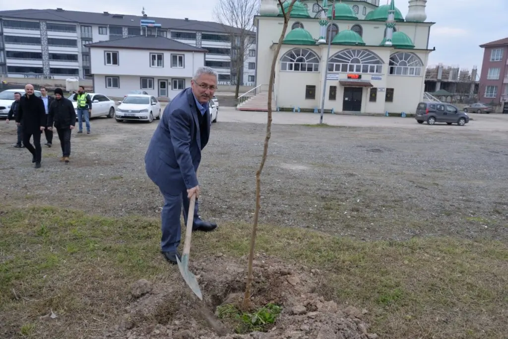Haber: Belediye Meclisi Fidan Dikti - Galeri-2