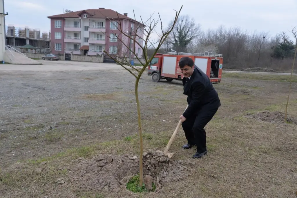 Haber: Belediye Meclisi Fidan Dikti - Galeri-4