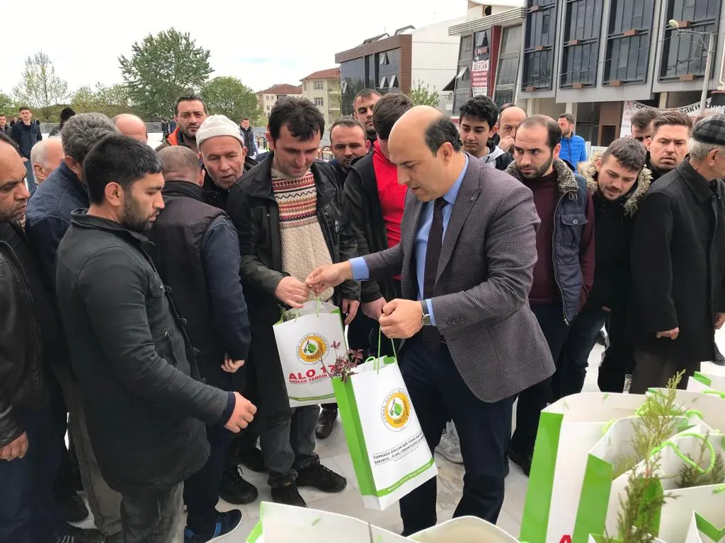 Haber: Orman İşletme Kandilde Fidan Dağıttı - Galeri-1
