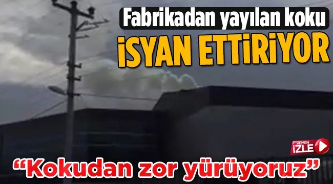 Haber: Fabrikadan Çıkan Koku İsyan Ettiriyor - Öne Çıkan
