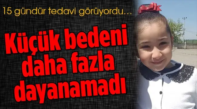 Haber: Küçük Bedeni Daha Fazla Dayanamadı - Öne Çıkan