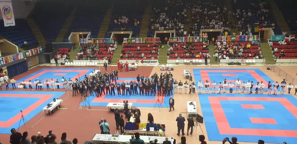 Haber: Hendek'li Karateciler 7 Madalya İle Döndü - Galeri-5