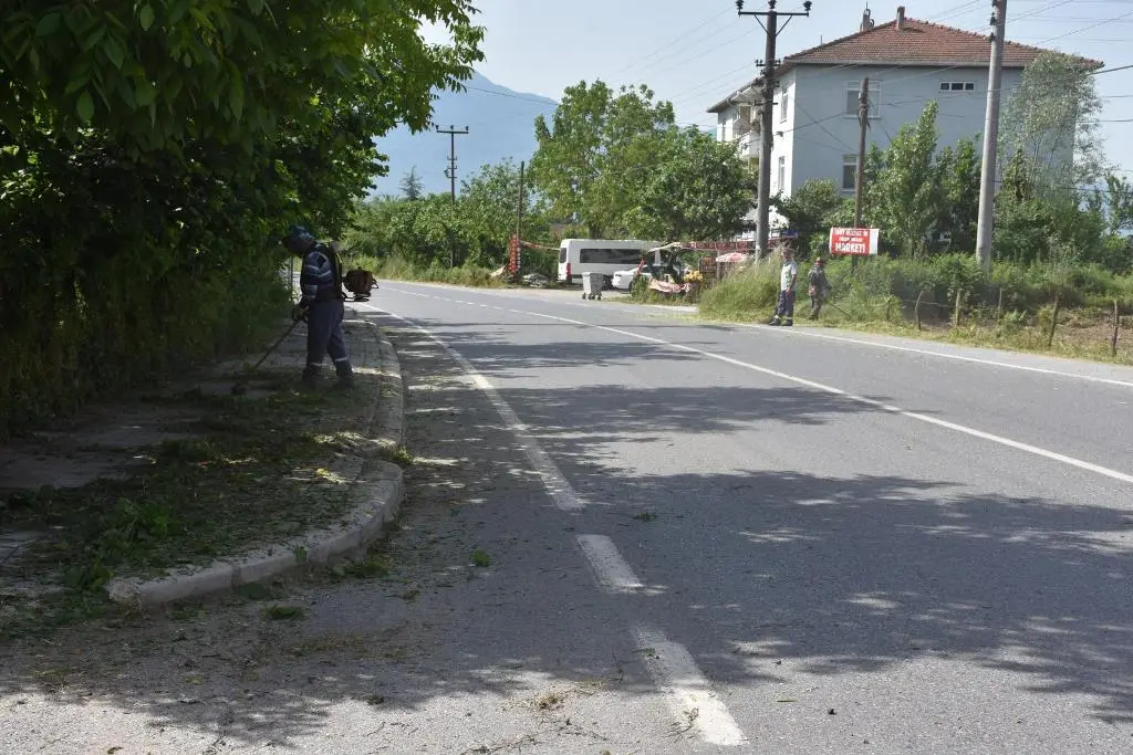 Haber: Yabani Otlar Temizleniyor - Galeri-1