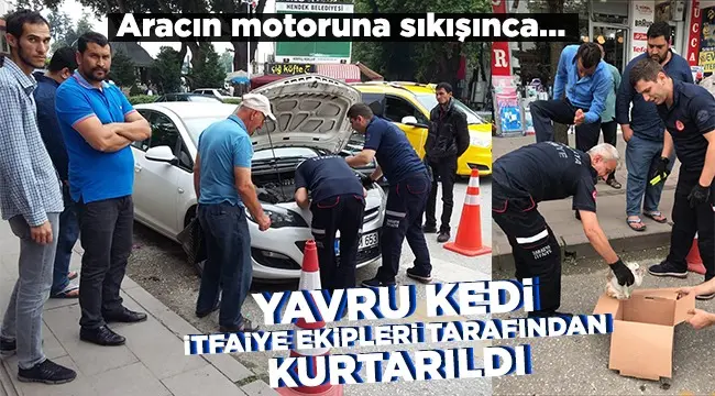 Haber: Aracın Motoruna Sıkışan Kedi Kurtarıldı - Öne Çıkan