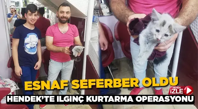 Haber: Kediyi Kurtarmak İçin Esnaf Seferber Oldu - Öne Çıkan