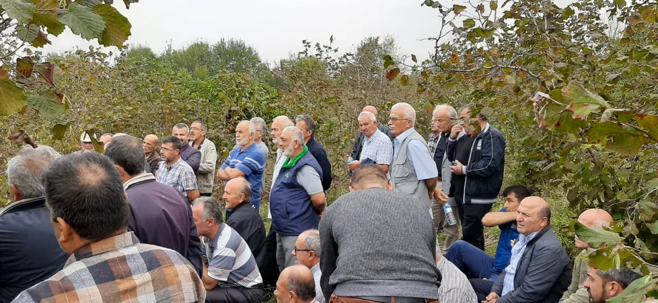 Haber: Fındık Üreticilerine Budama Eğitimi Verildi - Galeri-1