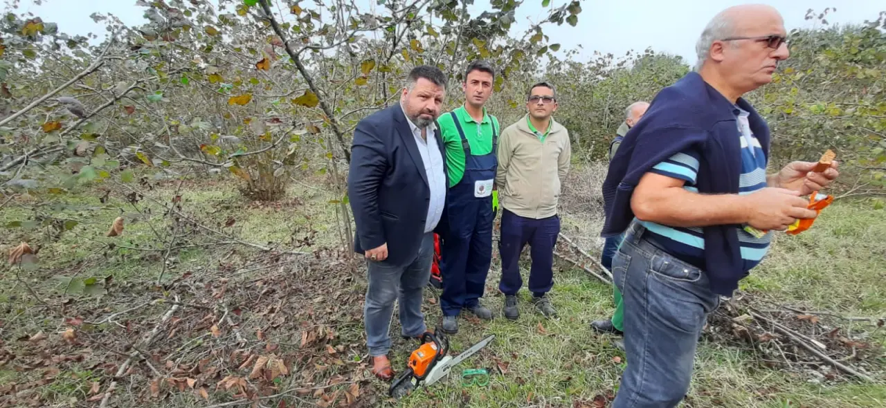 Haber: Fındık Üreticilerine Budama Eğitimi Verildi - Galeri-2