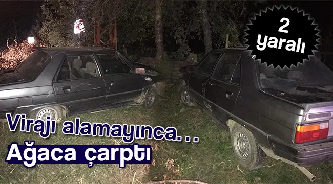Haber: Virajı Alamayınca Ağaca Çarptı. 2 Yaralı - Öne Çıkan