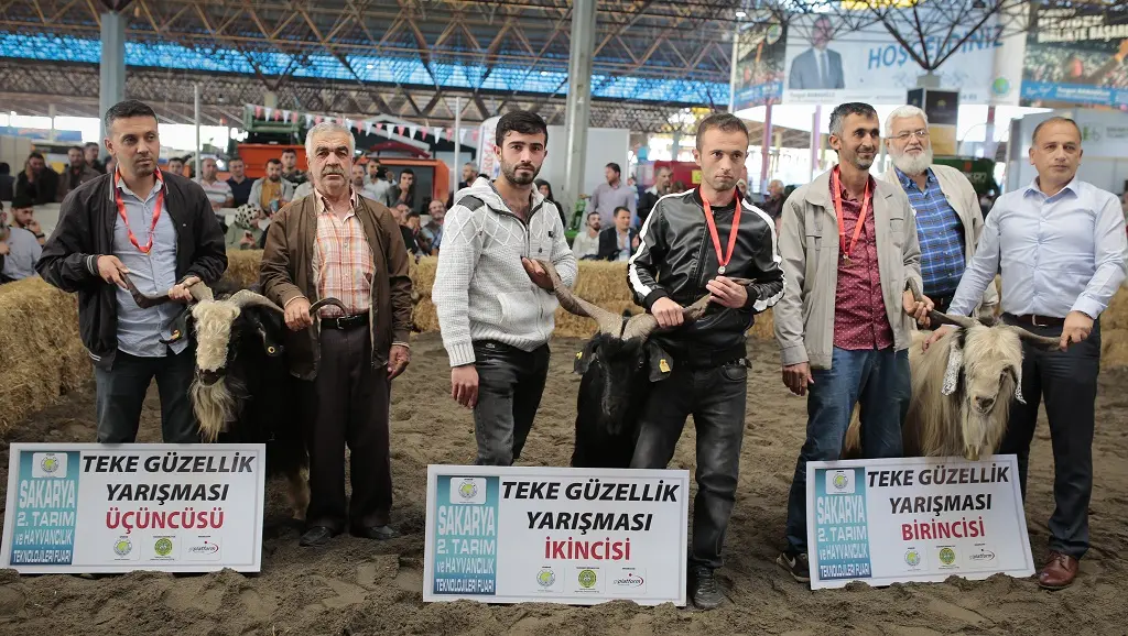 Haber: Fuarın Güzelleri Podyuma Çıktı - Galeri-4