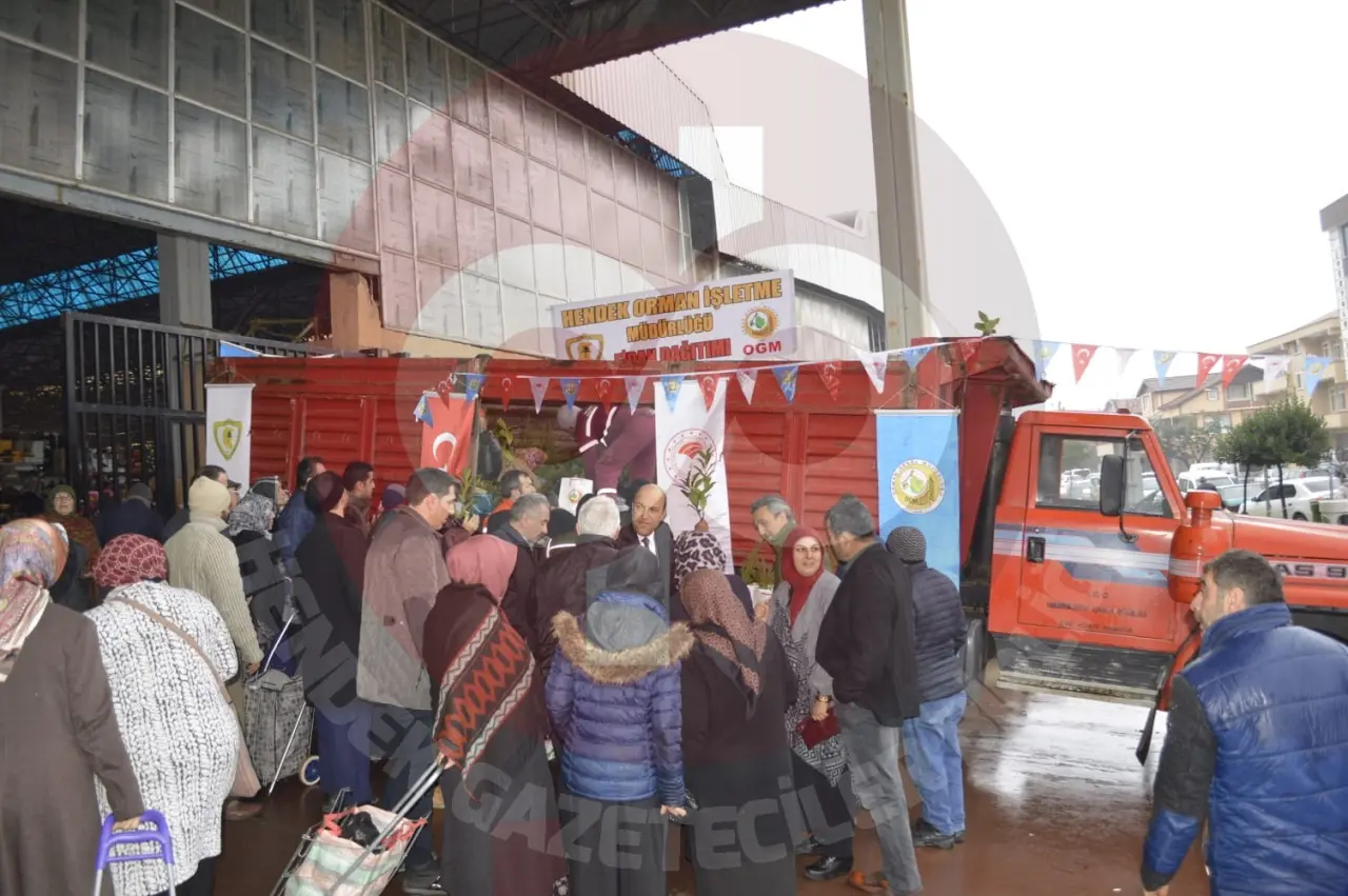 Haber: Yeni Yılda Ağaç Kesme Fidan Dik - Galeri-2