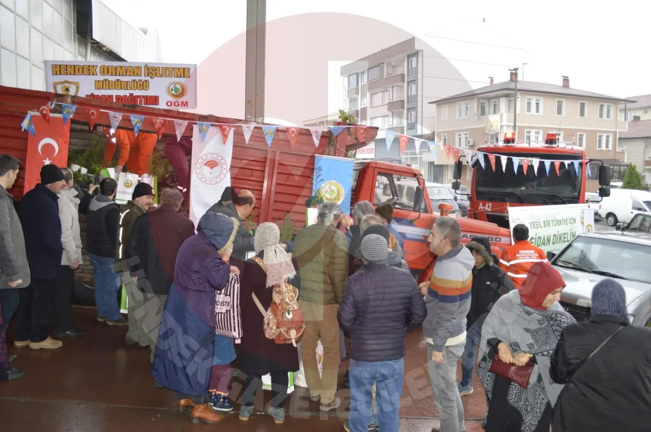 Haber: Yeni Yılda Ağaç Kesme Fidan Dik - Galeri-1