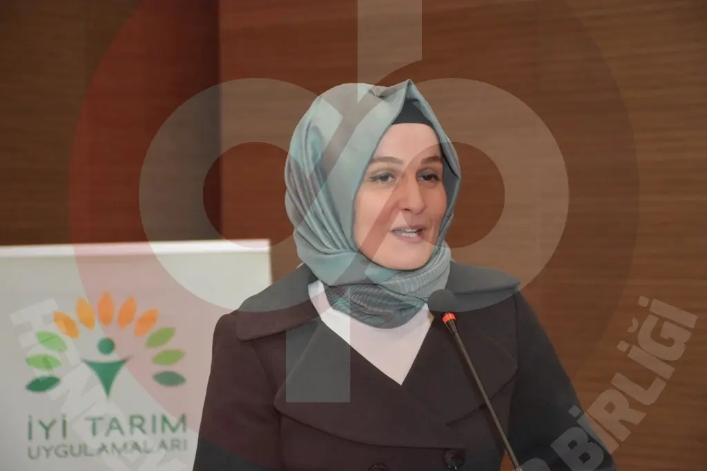 Haber: Hendek'te Fındık Tarımı Eğitim Programı Düzenlendi - Galeri-6