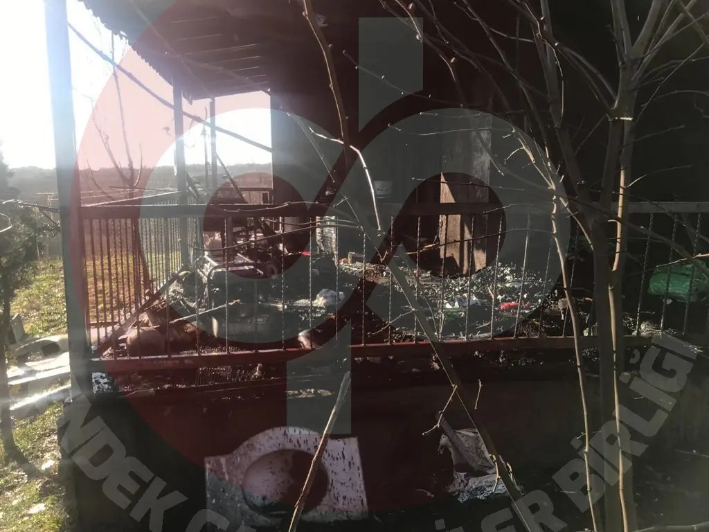 Haber: Mangal Yakayım Derken - Öne Çıkan