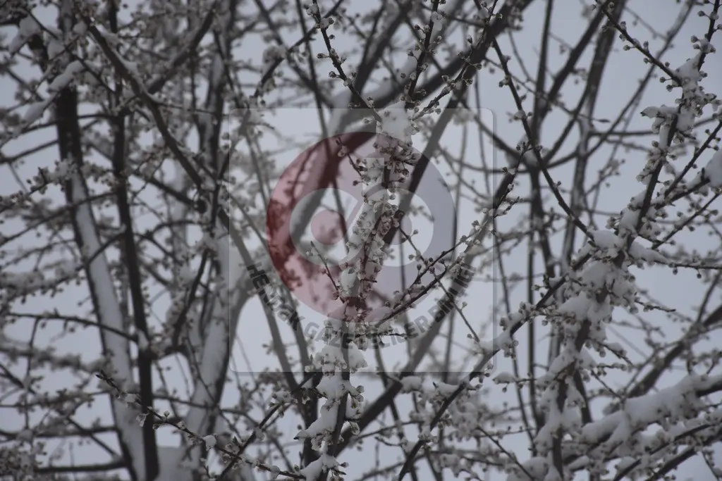 Haber: Zirvede Mart Kapıdan Baktırdı - Galeri-9