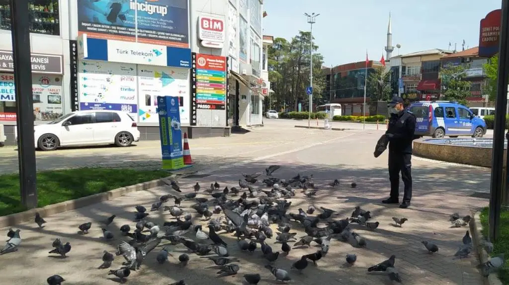 Haber: Hendek Belediyesi Hafta Sonu Teyakkuzdaydı - Galeri-2