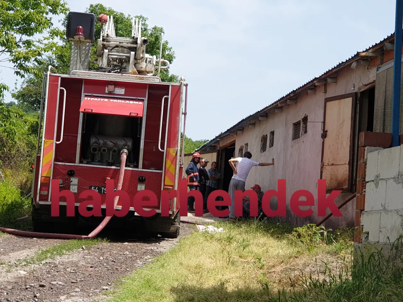 Haber: Tavuk kümesinde korkutan yangın! - Öne Çıkan