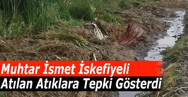 Haber: İskefiyeli Dışarı Atılan Atıklara Tepki Gösterdi - Öne Çıkan