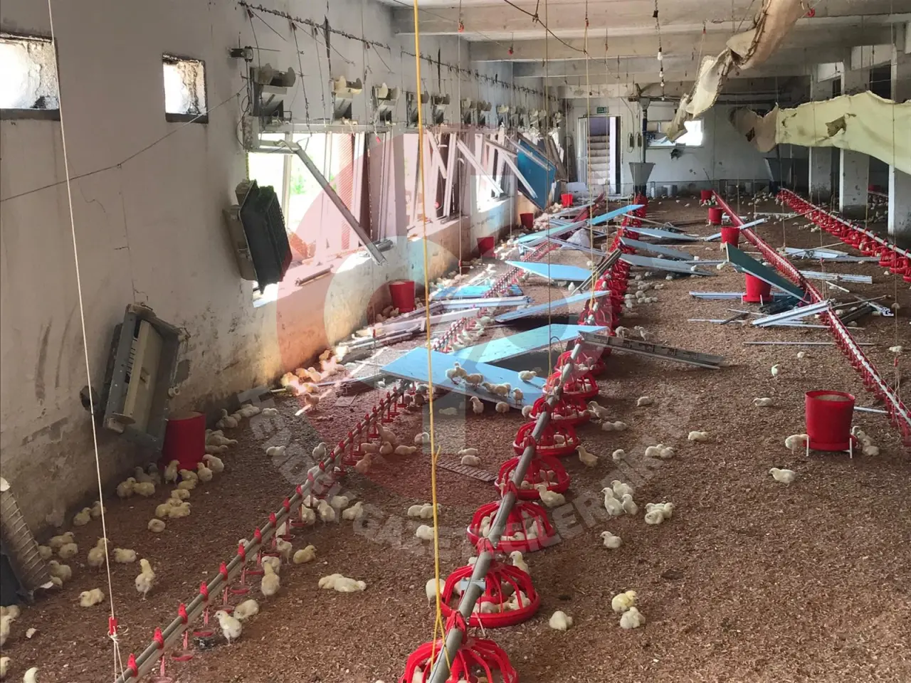 Haber: Patlamada Çevre Mahalleler de de hasar oluştu - Galeri-4