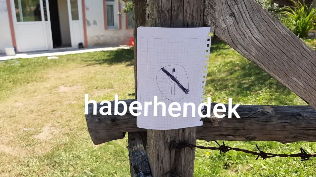 Haber: Minik Enise'den Dikkat Çeken Farkındalık - Galeri-1