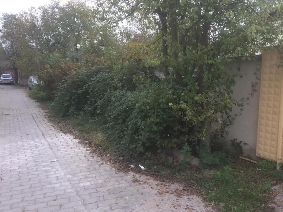 Haber: Dereboğazı Mahallesinde Yol Bakım Temizlik Çalışmaları Devam Ediyor - Galeri-1