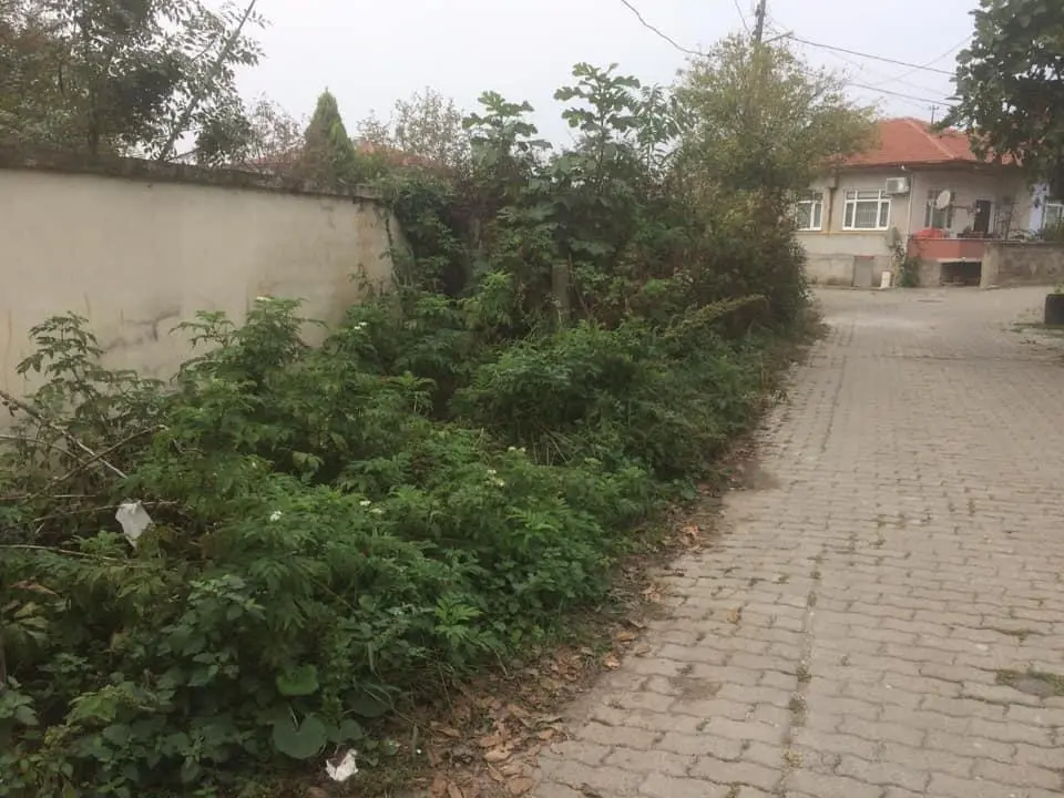 Haber: Dereboğazı Mahallesinde Yol Bakım Temizlik Çalışmaları Devam Ediyor - Galeri-2
