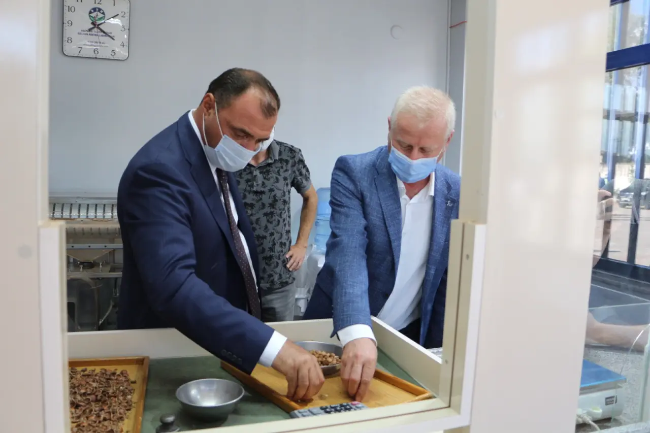 Haber: Vali Hendek'te Fındık Randımanı Aldı - Galeri-3