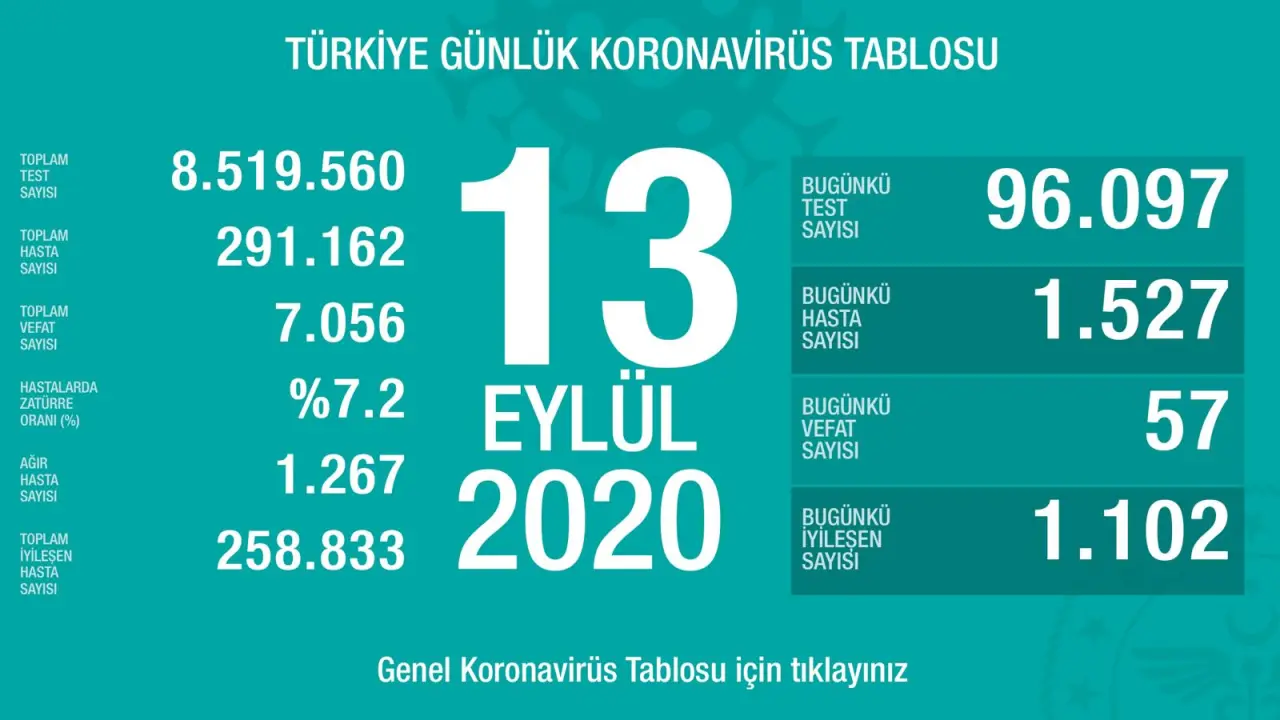 Haber: Koronavirüste Son Durum - Öne Çıkan