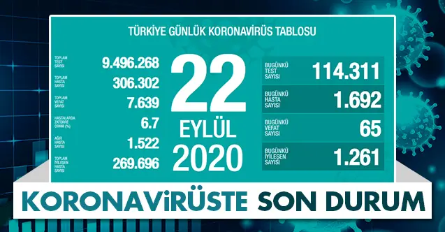 Haber: Koronavirüste Son Durum - Öne Çıkan