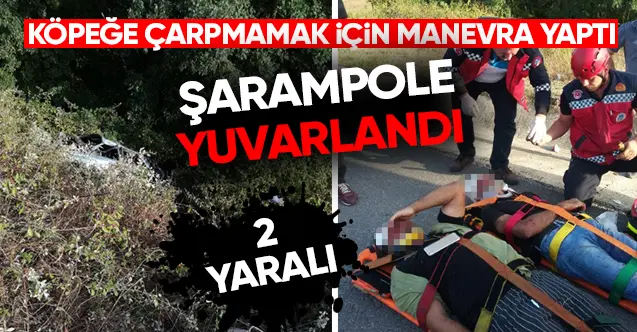 Haber: Köpeğe Çarpmamak İçin Manevra Yapınca Şarampole Yuvarlandı - Öne Çıkan