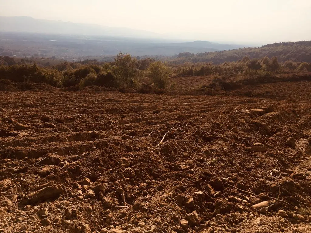 Haber: Kazımiye Dağları Yeşile Bürünecek - Galeri-1