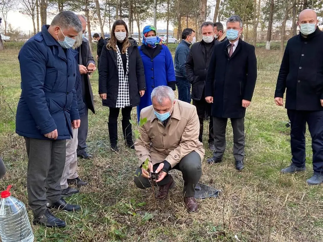 Haber: Ülkücüler Başbuğ Alparslan Türkeş’i Fidan Dikerek Andılar - Galeri-1