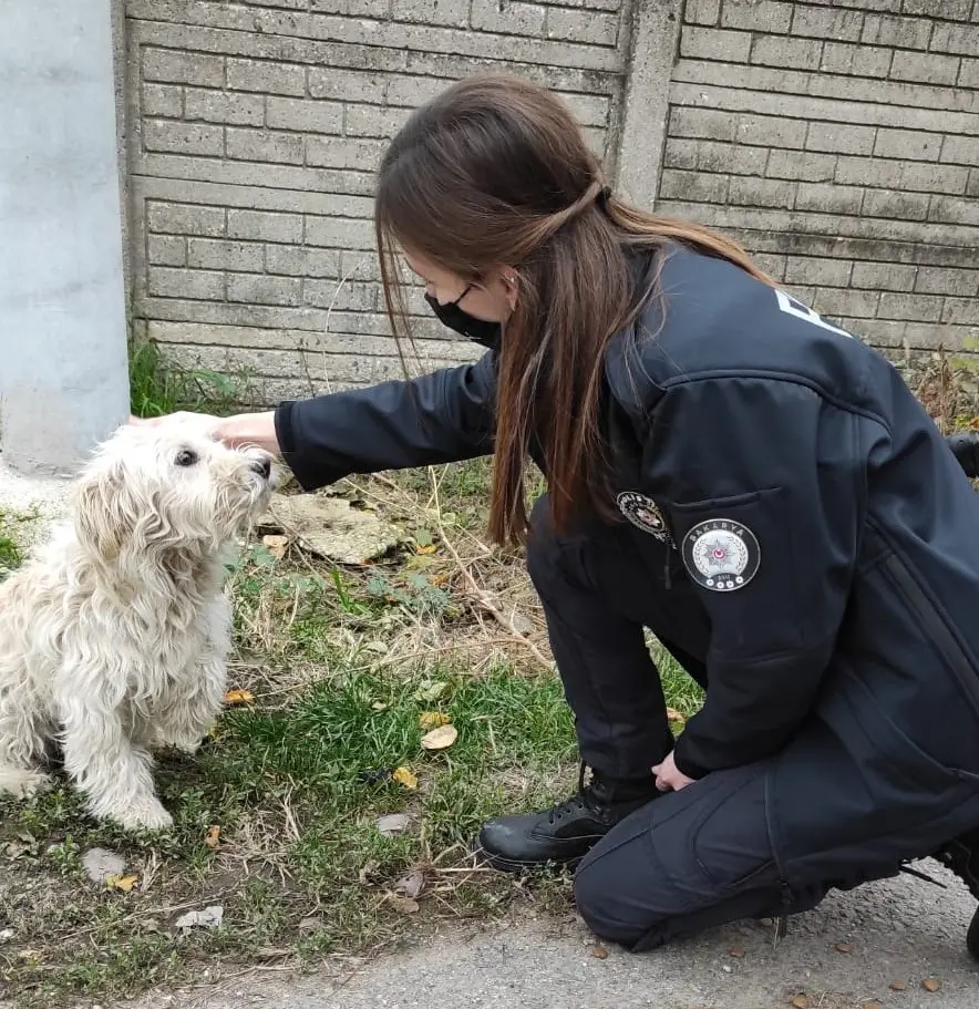Haber: Polis Hem Denetledi hem de Sokak Hayvanlarını Doyurdu - Galeri-5