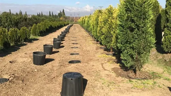 Haber: Hendek'te Bir İlk Daha - Galeri-1