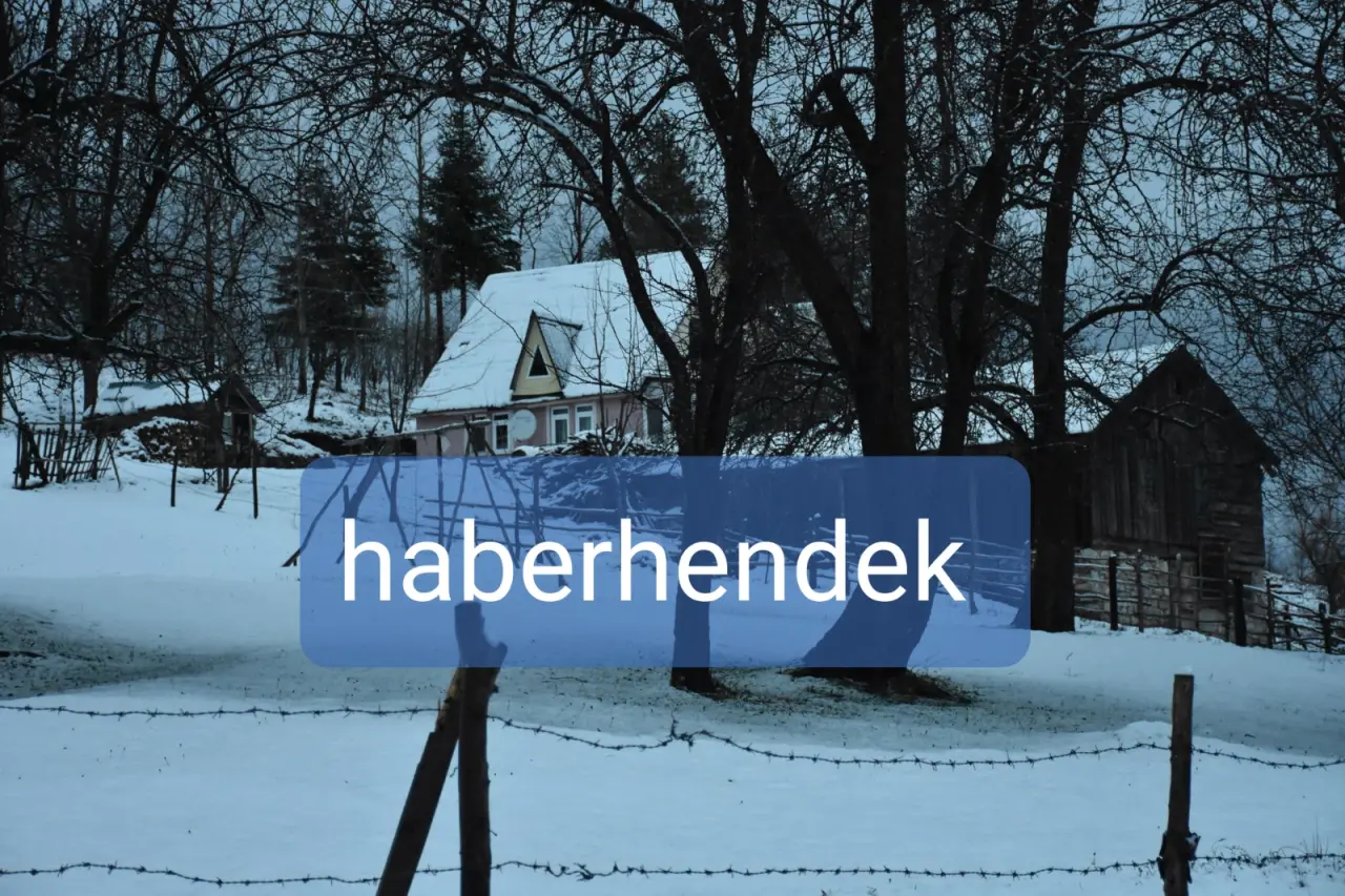 Haber: Zirvede Kar Yeniden Başladı - Galeri-1