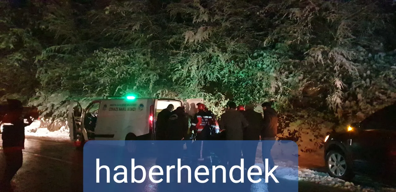Haber: Hendek’te Traktör Devrildi 1 Kişi Hayatını kaybetti, 1Kişi Yaralandı - Galeri-1