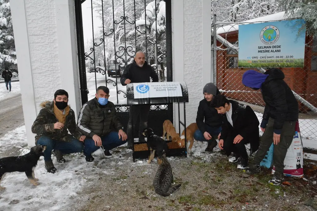 Haber: Hendek Ülkü Ocakları Can Dostları Unutmadı - Galeri-6