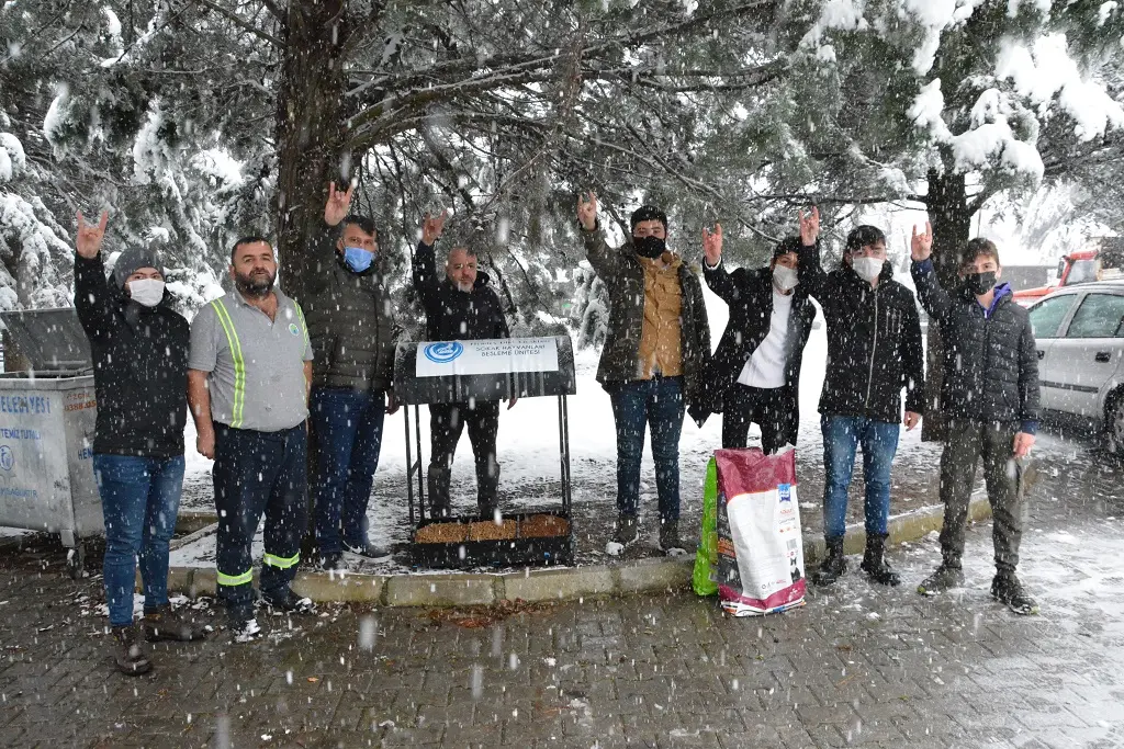 Haber: Hendek Ülkü Ocakları Can Dostları Unutmadı - Galeri-4