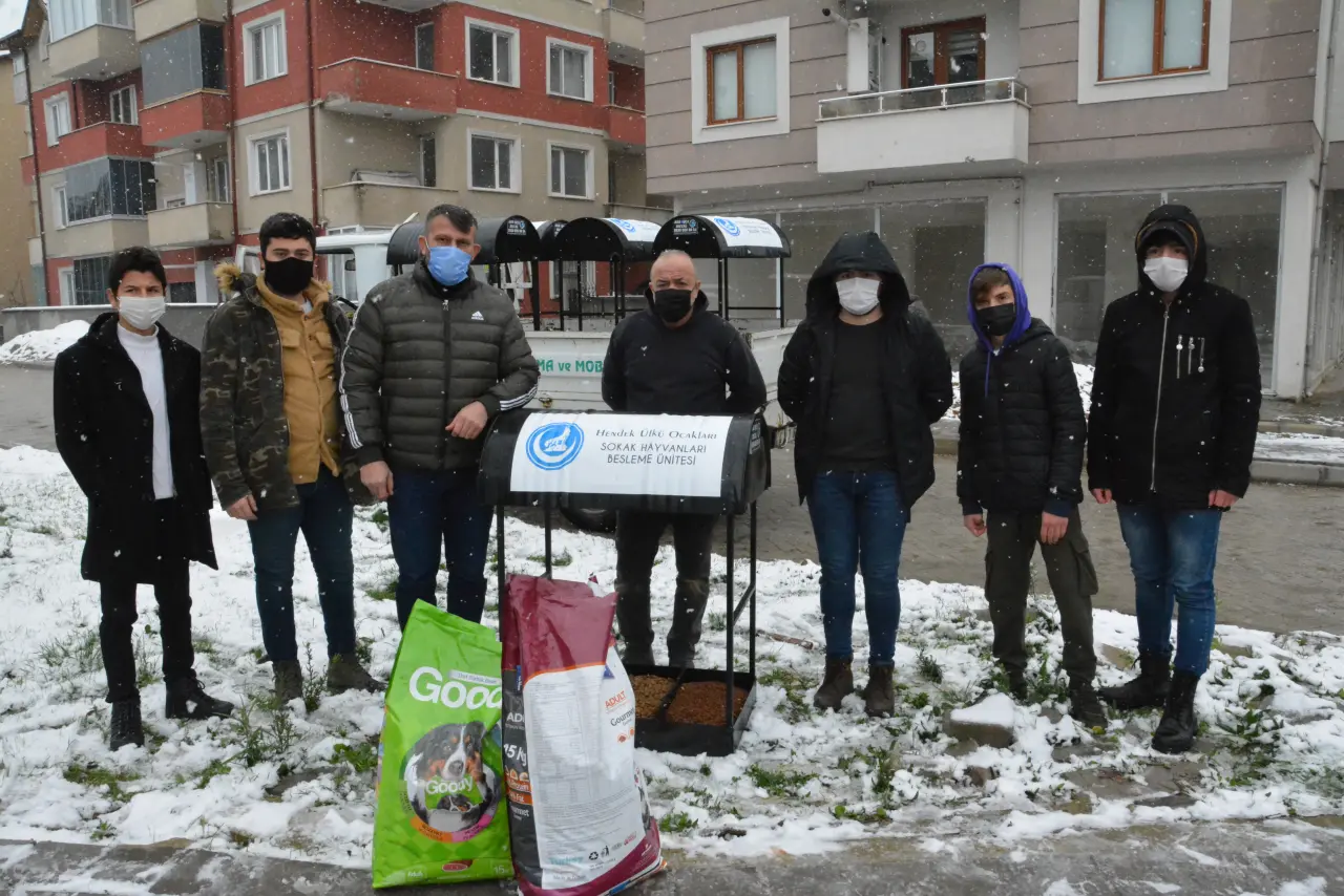 Haber: Hendek Ülkü Ocakları Can Dostları Unutmadı - Galeri-1