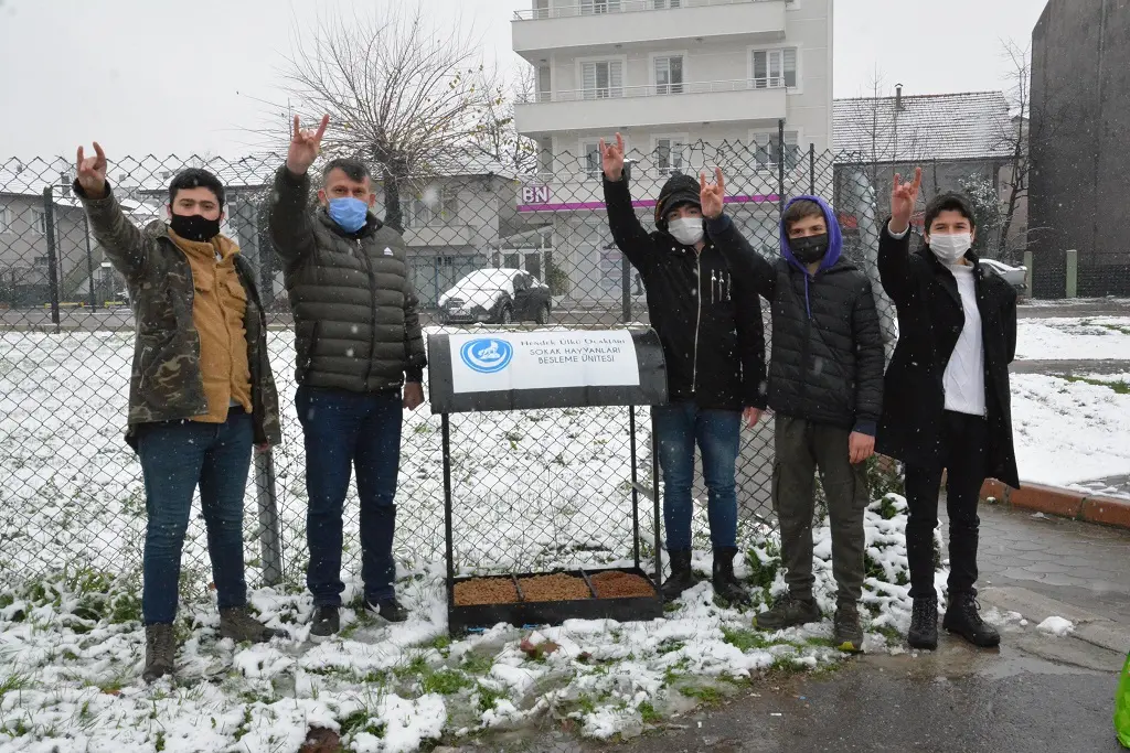 Haber: Hendek Ülkü Ocakları Can Dostları Unutmadı - Galeri-3