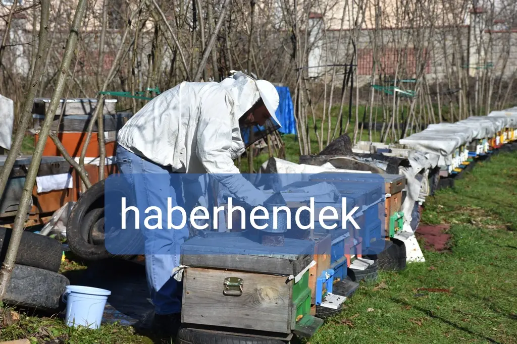 Haber: Arıcılardan Bahar Bakımı - Öne Çıkan