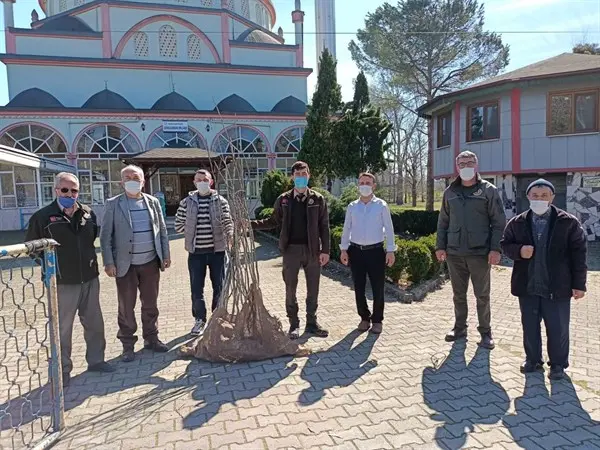 Haber: Hendek’te Fidan Dağıtıldı - Galeri-2